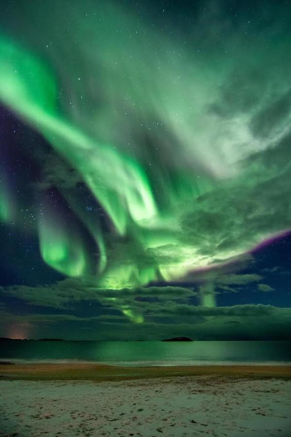 Проживание в семье Visit Leif At Senja